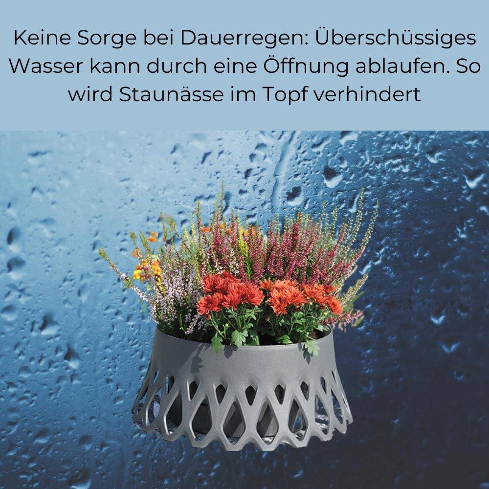 Grabschale Roseta anthrazit Ø 40