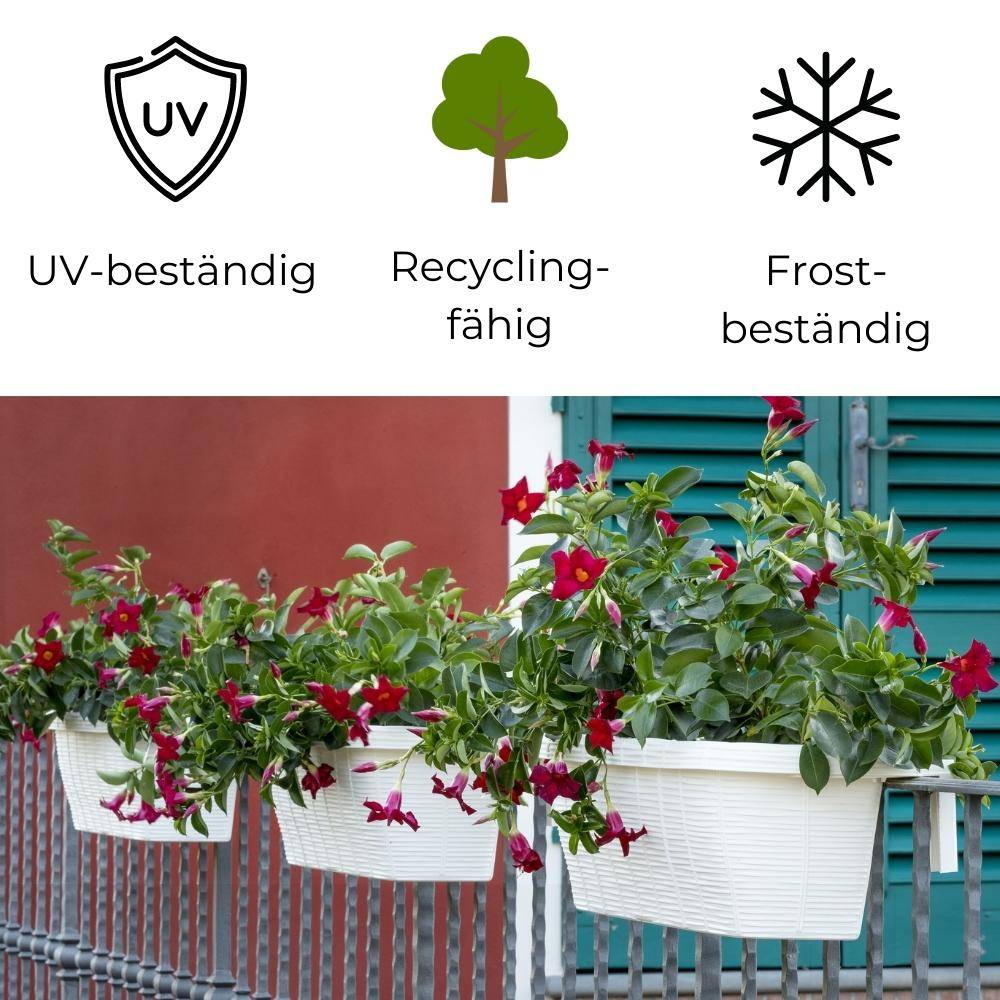 Balkonkasten Rattan Optik für Geländer anthrazit