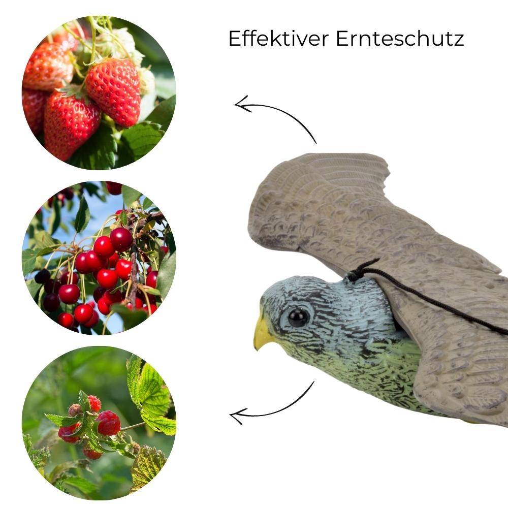 Vogelschreck Falke fliegend Taubenschreck Vogel Tauben Abwehr Vogelscheuche