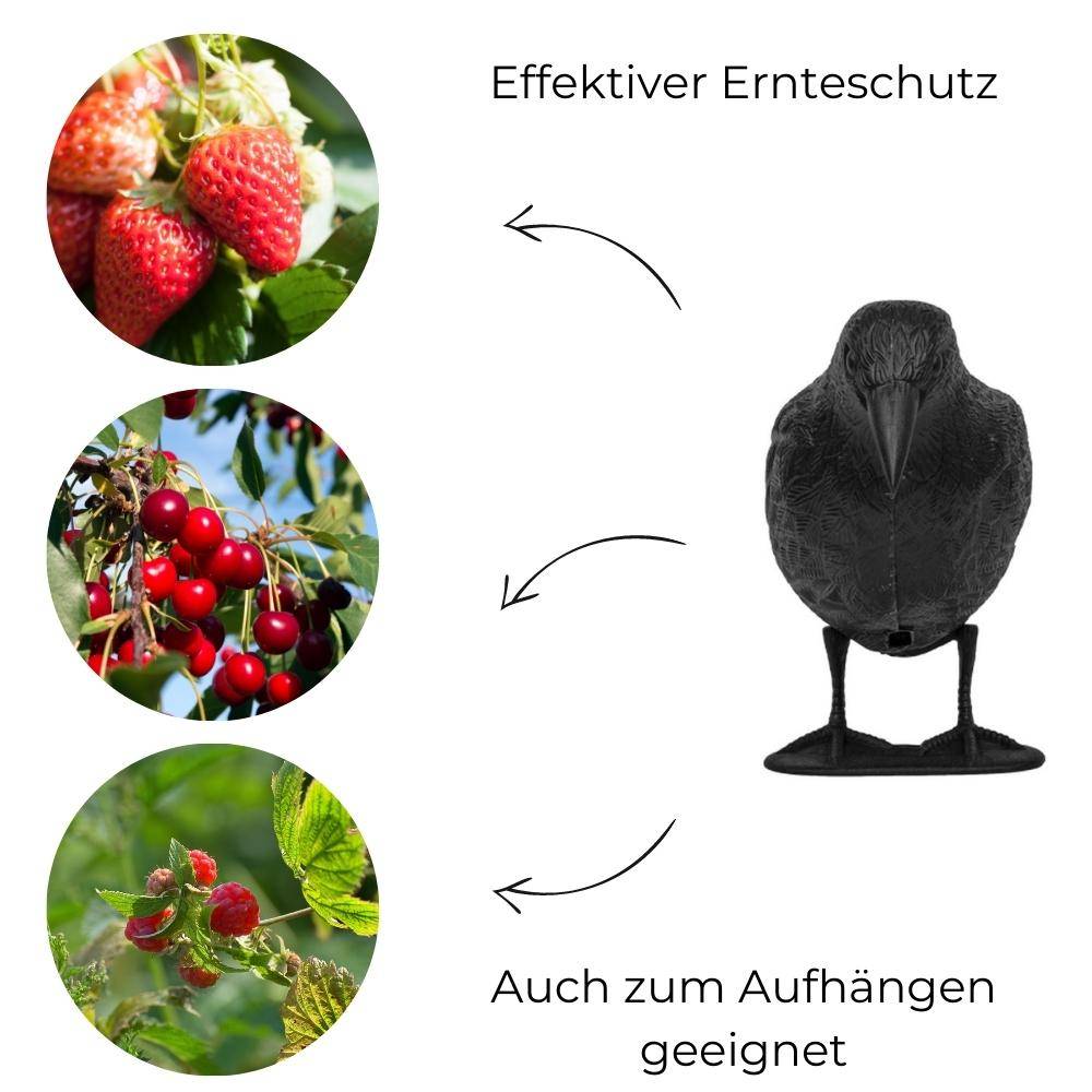 Vogelschreck Taubenschreck stehend Krähe Rabe Vogel Tauben Abwehr Vogelscheuche