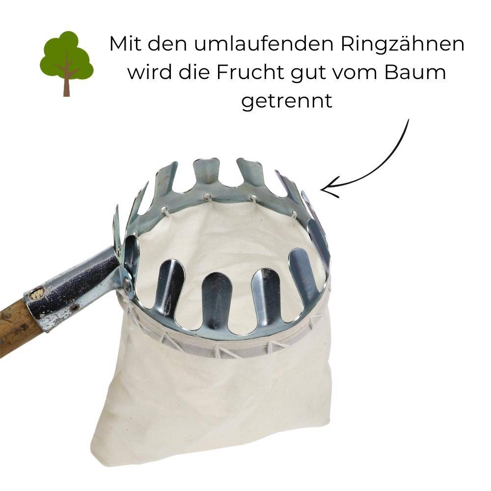 Obstpflücker Apfelpflücker verzinkt Apfelernter Obsternter Äpfel Birnen Pflücker