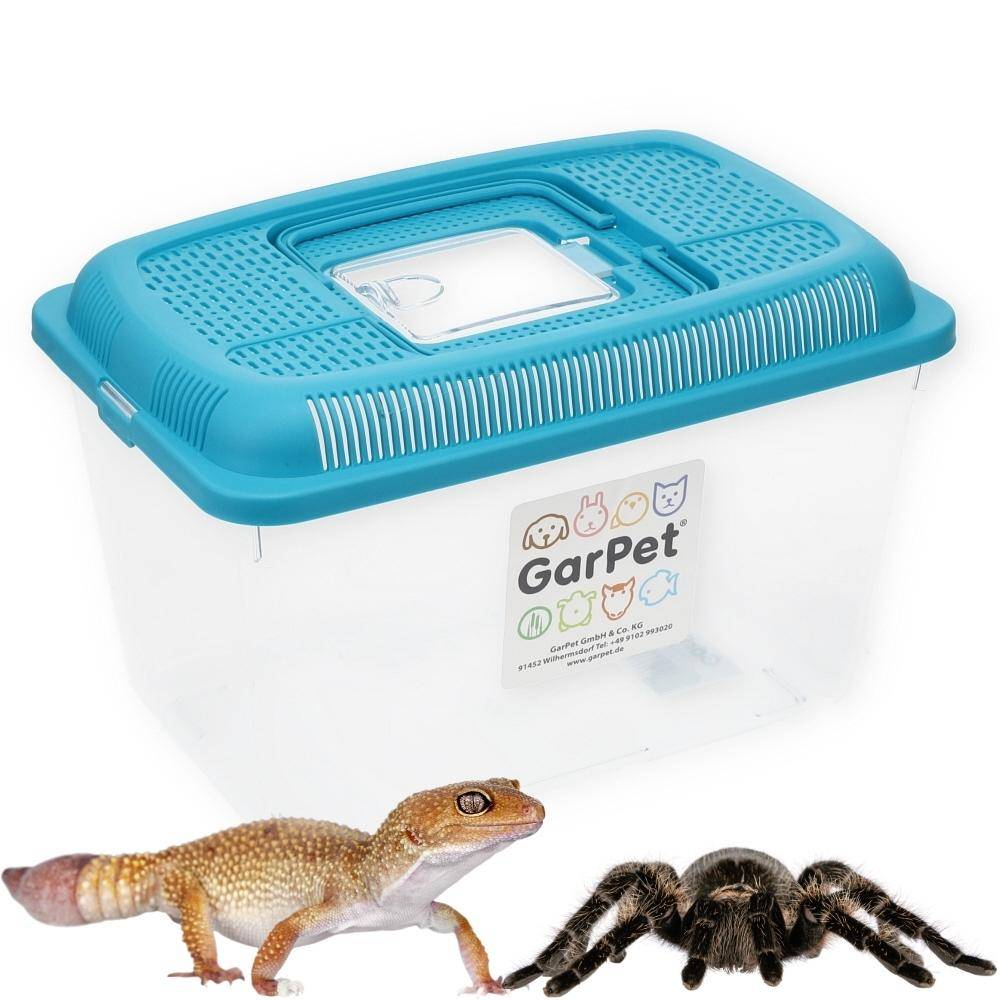 Faunabox Transport Quarantäne Box Tierbeobachtung Urzeitkrebse Triops Heimchen Fauna Box Insektenbox Amphibien Faunarium Gr. L