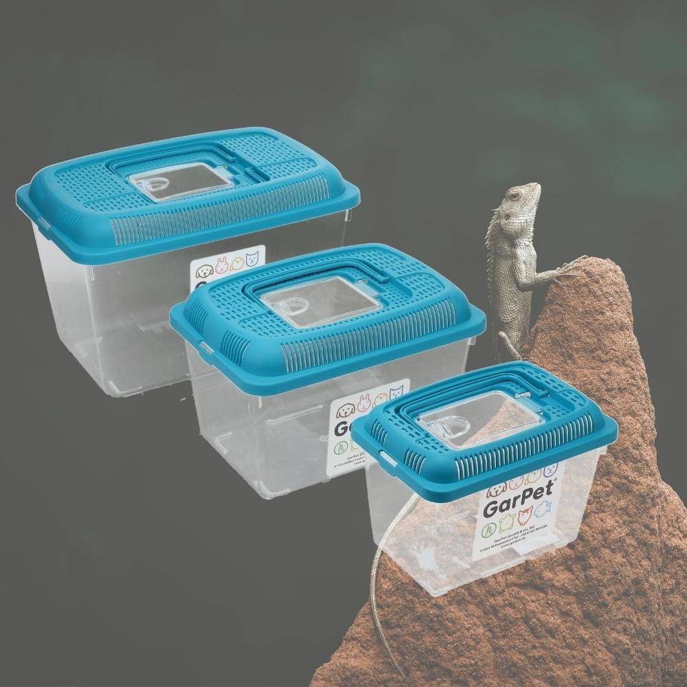 Faunabox Transport Quarantäne Box Tierbeobachtung Urzeitkrebse Triops Heimchen Fauna Box Insektenbox Amphibien Faunarium Gr. L