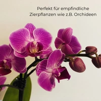 Blumensprüher Hand Pflanzen Wasser Sprüher Sprühflasche leer Haushalt und Garten Blumensprüher Hand Pflanzen Wasser Sprüher Sprühflasche leer Haushalt und Garten
