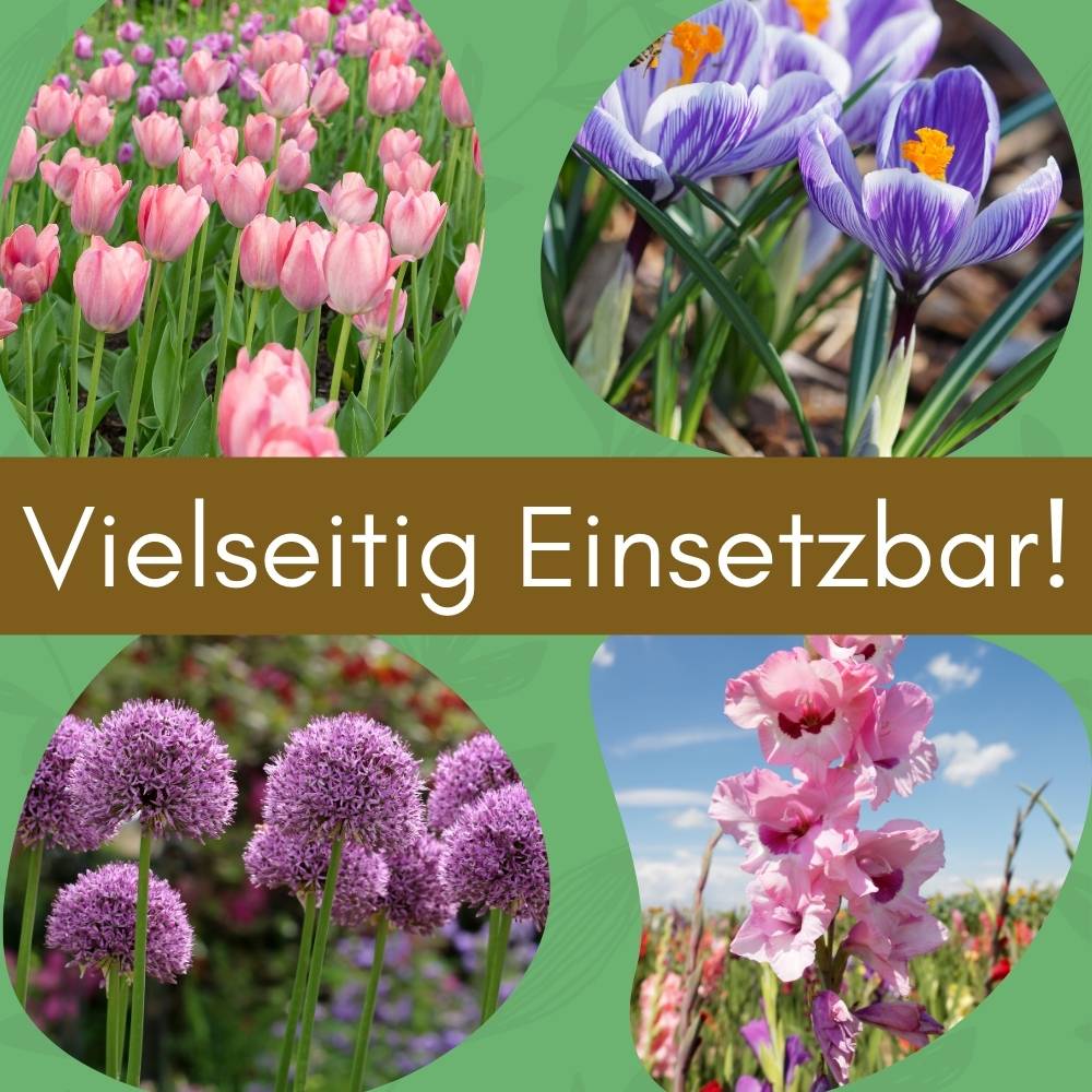 12x Pflanzkörbe für Blumenzwiebeln Pflanzkorb Blumenzwiebeln Pflanzkörbe für Tulpen Zwiebelpflanzschale Herbstpflanzung Blumenzwiebelschale 28x26