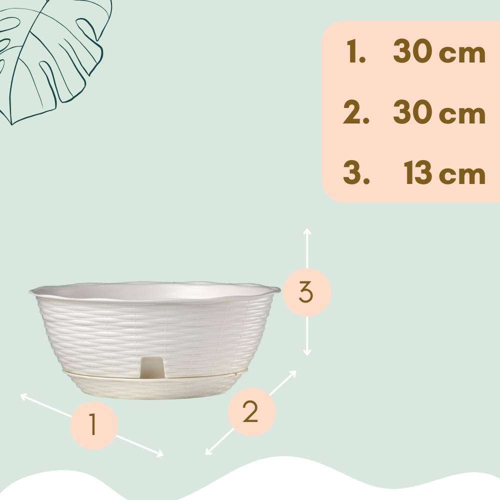 2x Blumenampel Blumentopf hängend außen Hängetopf für Pflanzen Blumentöpfe zum aufhängen Hängeampel inkl. Kette Wandhalterung Rattan weiß