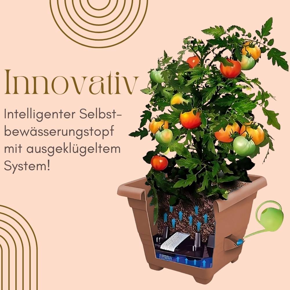 2x Pflanzkübel Rechteckig Pflanzkübel Groß Außen Blumenkübel Outdoor Pflanztopf Pflanzkasten Blumentopf Wasserspeicher 25 cm Terrakotta