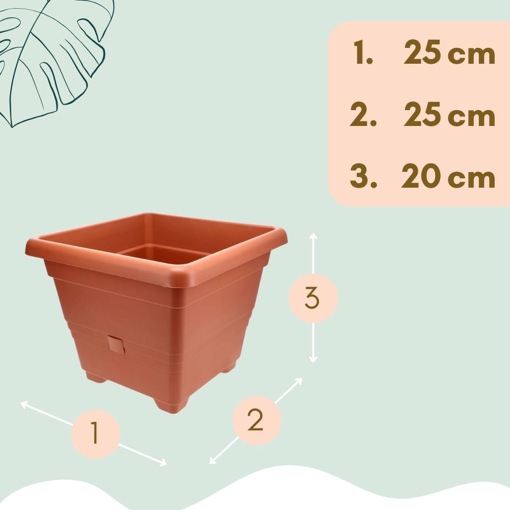 2x Pflanzkübel Rechteckig Pflanzkübel Groß Außen Blumenkübel Outdoor Pflanztopf Pflanzkasten Blumentopf Wasserspeicher 25 cm Terrakotta