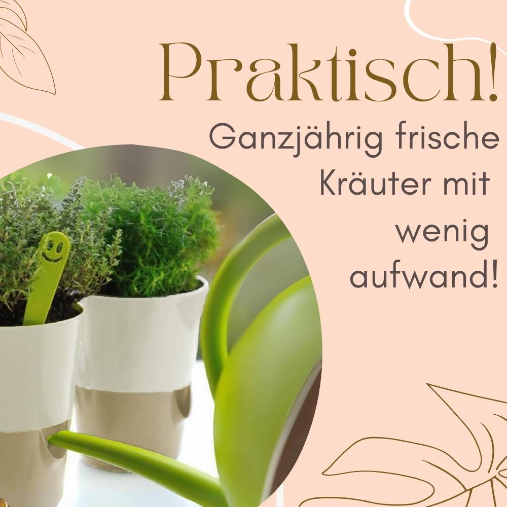 4x Kräutertopf Selbstbewässernd Selbstbewässerungstopf Kräutertopf Küche Basilikum Topf Blumentopf mit Bewässerungssystem Fensterbank Elfenbein
