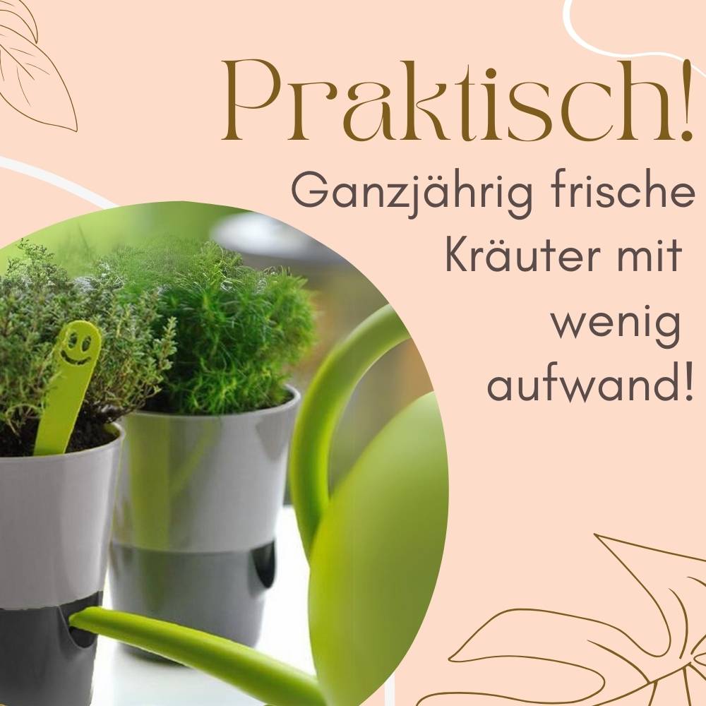 4x Kräutertopf Selbstbewässernd Selbstbewässerungstopf Kräutertopf Küche Basilikum Topf Blumentopf mit Bewässerungssystem Fensterbank Anthrazit