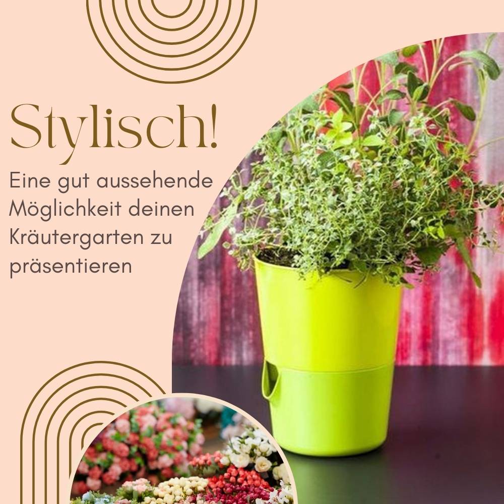 4x Kräutertopf Selbstbewässernd Selbstbewässerungstopf Kräutertopf Küche Basilikum Topf Blumentopf mit Bewässerungssystem Fensterbank Grün 11 c