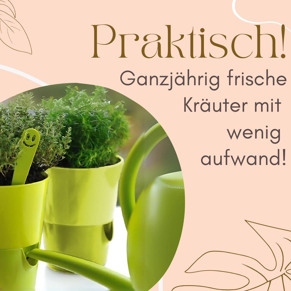 4x Kräutertopf Selbstbewässernd Selbstbewässerungstopf Kräutertopf Küche Basilikum Topf Blumentopf mit Bewässerungssystem Fensterbank Grün 11 c