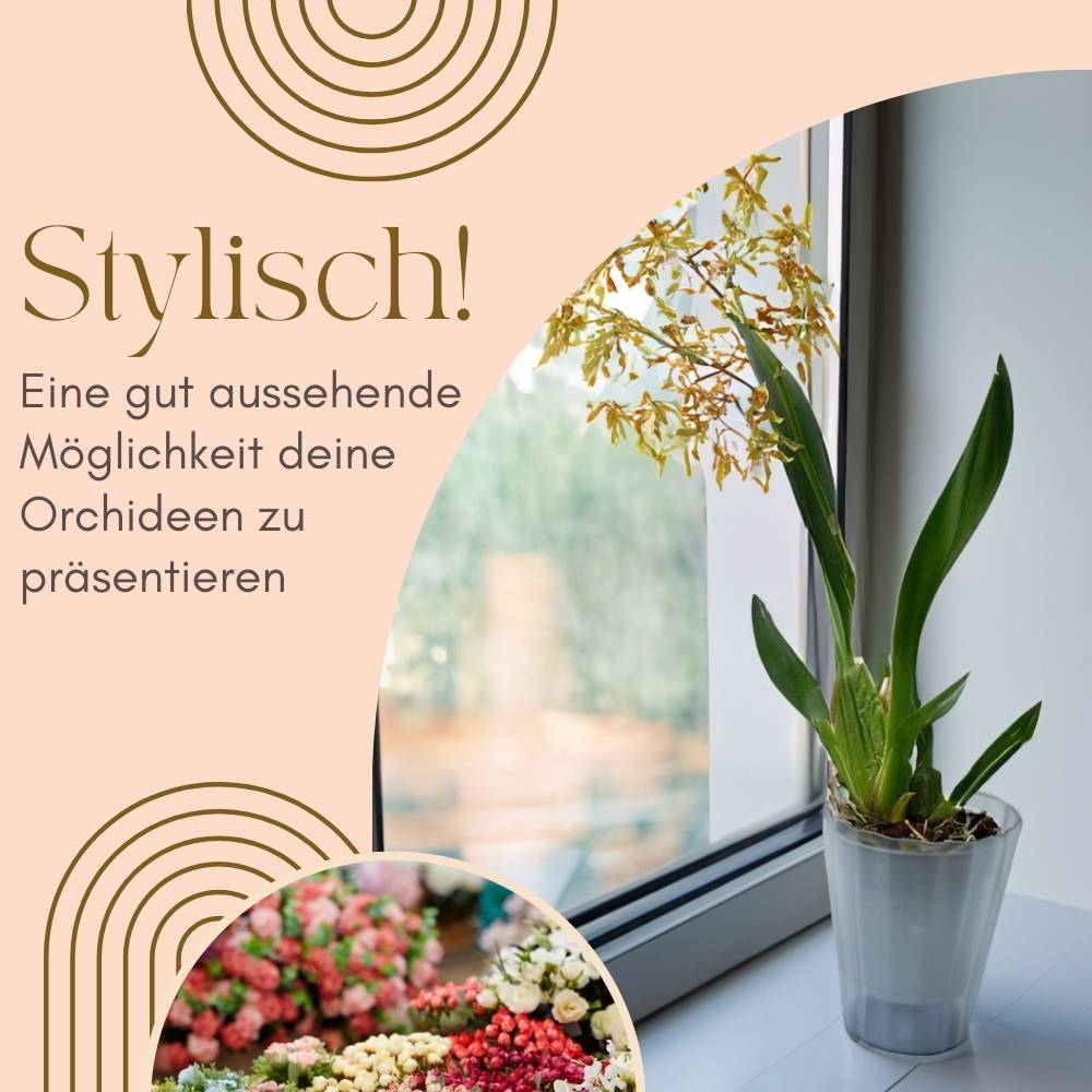 4x Orchideentopf Transparent Orchideen Übertopf Pflanztöpfe Übertöpfe für Orchideen aus Kunststoff Innen Durchsichtig Elegant 16 cm rauchfarbig