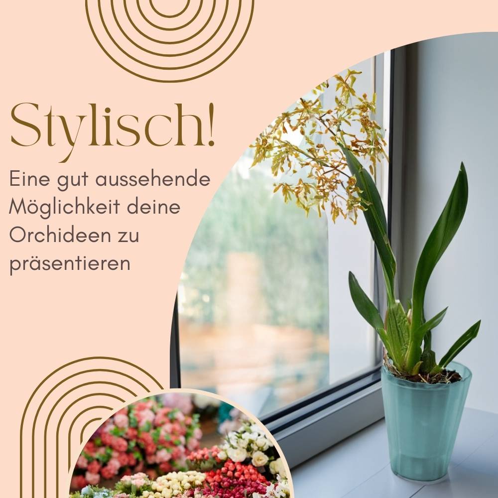 4x Orchideentopf Transparent Orchideen Übertopf Pflanztöpfe Übertöpfe für Orchideen aus Kunststoff Innen Durchsichtig Elegant 16 cm glas