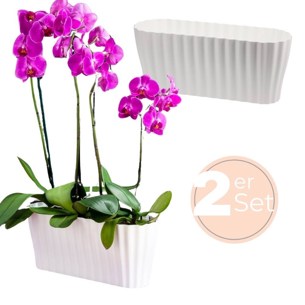 2x Orchideentopf Orchideen Übertopf Pflanztöpfe Übertöpfe für Orchideen aus Kunststoff Innen Elegant Orchideentopf groß weiß