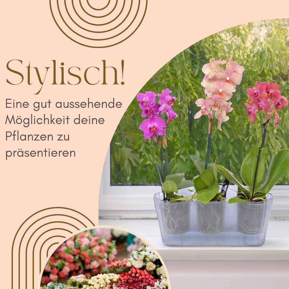 2x Orchideentopf Transparent Orchideen Übertopf Pflanztöpfe Übertöpfe für Orchideen aus Kunststoff Innen Elegant Durchsichtig Orchideentopf groß