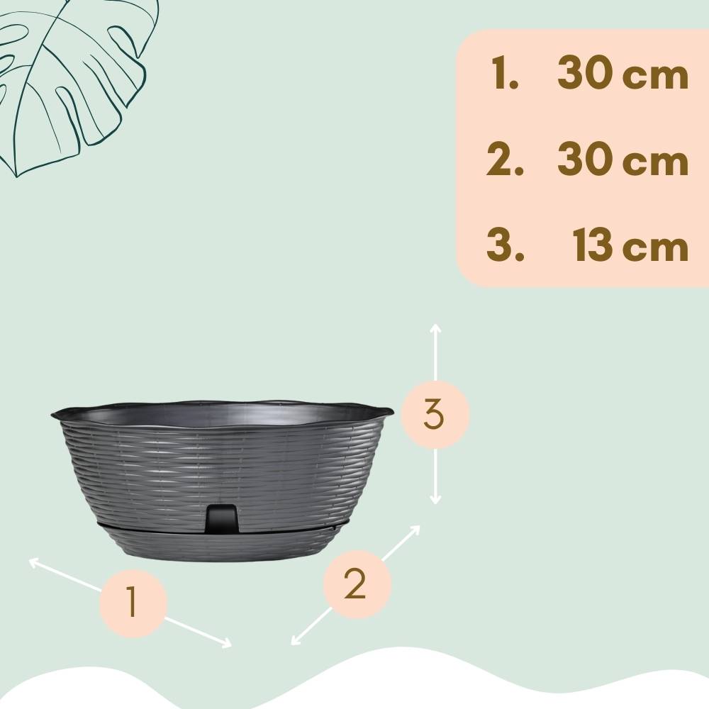 2x Pflanzschale Blumenschale Pflanzschalen für draussen Bonsai Topf Pflanzschale Rund inkl. Untersetzer Grabschale Anthrazit 30 cm