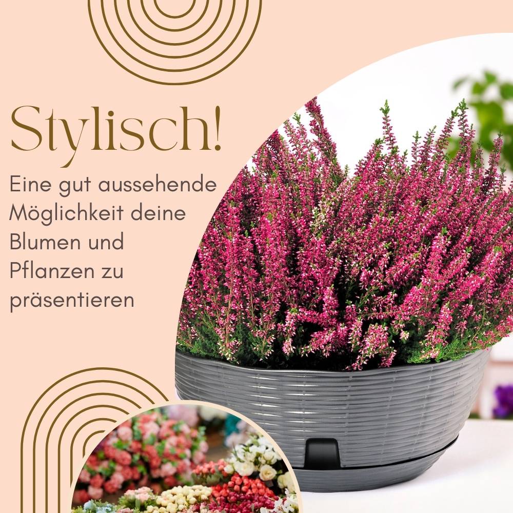 2x Pflanzschale Blumenschale Pflanzschalen für draussen Bonsai Topf Pflanzschale Rund inkl. Untersetzer Grabschale Anthrazit 40 cm