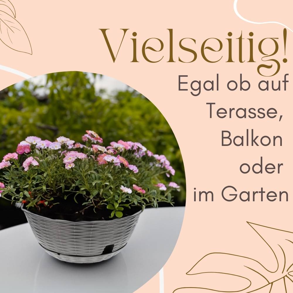 2x Pflanzschale Blumenschale Pflanzschalen für draussen Bonsai Topf Pflanzschale Rund inkl. Untersetzer Grabschale Anthrazit 40 cm