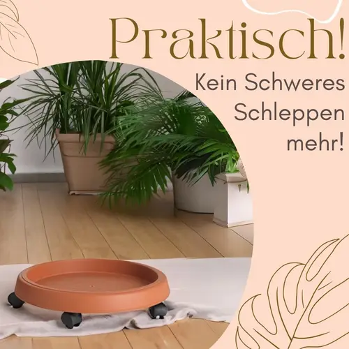 2x Pflanzenroller Outdoor Wetterfest Rollbrett Pflanzen Blumentopf Untersetzer mit Rollen Pflanzenroller Rund Blumenroller 35 cm 2x Pflanzenroller Outdoor Wetterfest Rollbrett Pflanzen Blumentopf Untersetzer mit Rollen Pflanzenroller Rund Blumenroller 35 cm