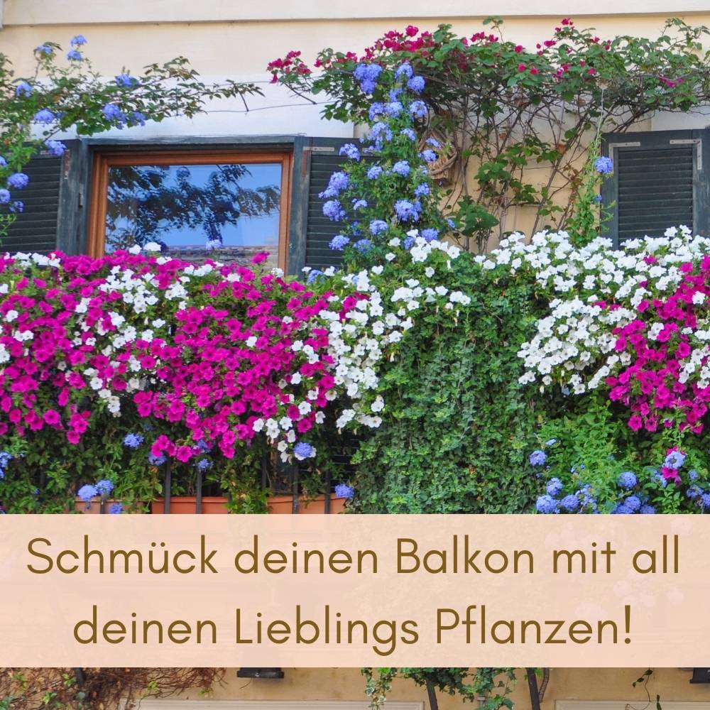 2x Blumenkasten Balkongeländer Balkon Blumenkasten Balkonkasten mit Halterung Geländerkasten mit Wasserspeicher Rattan Optik Anthrazit 60 cm
