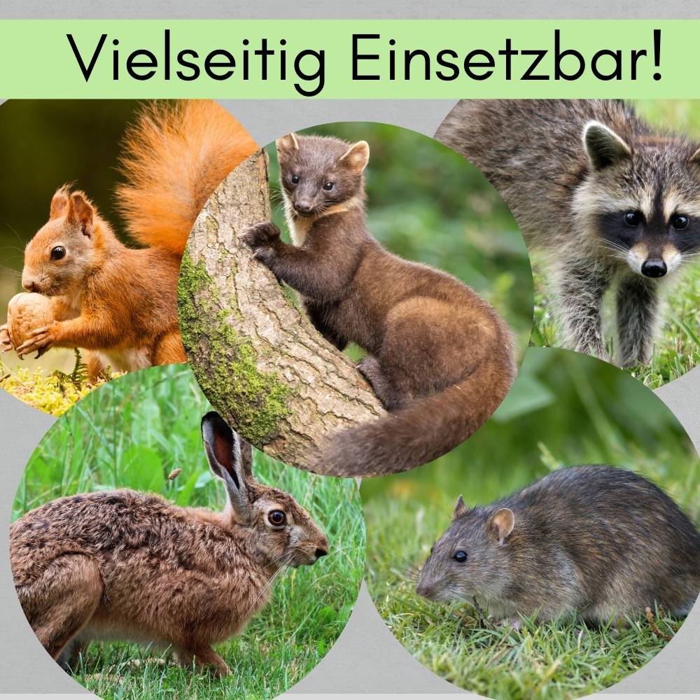 2x Waschbärfalle Trap Doppeltür Lebendfalle Marder Fuchsfalle Eichhörnchenfalle Drahtfalle Tierfalle Hasenfalle Wetterfest 120