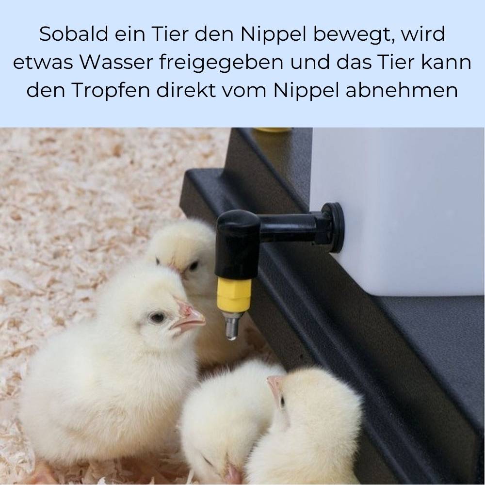 2x Nippeltränke 500 ml Wassertränke Hühnertränke Kükentränke Trinkflasche Kaninchen Hamster Wasserspender Hasentränke Geflügeltränke