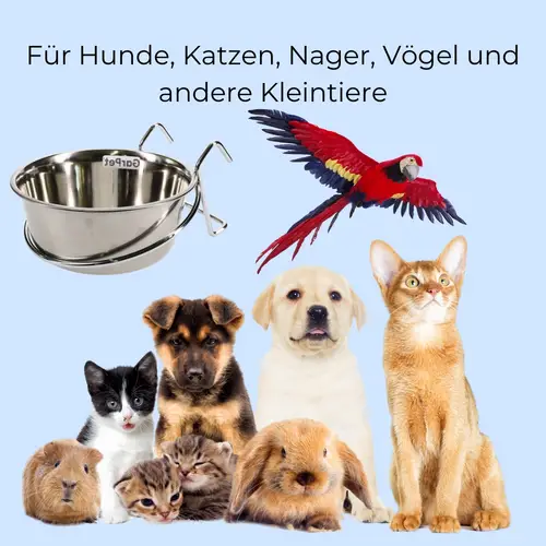 3x Edelstahlnapf zum Einhängen 0,15 L mit Hakenhalterung Vogelnapf Hundenapf Hasen Kaninchen Katzen Napf Futter Wasser Napf 3x Edelstahlnapf zum Einhängen 0,15 L mit Hakenhalterung Vogelnapf Hundenapf Hasen Kaninchen Katzen Napf Futter Wasser Napf