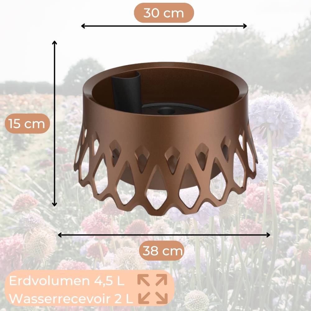 2x Grabschale für Friedhof Pflanzschale für Friedhof Grab Vase mit Selbstbewässerung und Wasserüberlauf bronze Ø 30 frostsicher