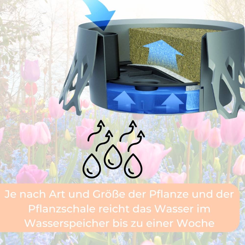 2x Grabschale für Friedhof Pflanzschale für Friedhof Grab Vase mit Selbstbewässerung und Wasserüberlauf bronze Ø 30 frostsicher