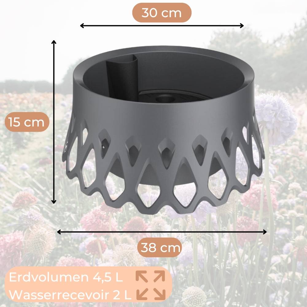 2x Grabschale für Friedhof Pflanzschale für Friedhof Grab Vase mit Selbstbewässerung und Wasserüberlauf anthrazit Ø 30 frostsicher