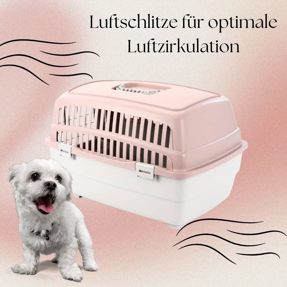 2x Transportbox IATA Flugbox Flugzeug Hundebox kleine Hunde Transportbox Katzen für 2 Tiertransportbox Katzentransportbox Gr. S