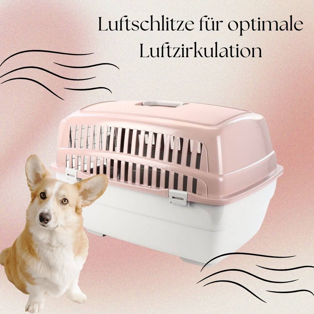 2x Transportbox IATA Flugbox Flugzeug Hundebox Hunde Transportbox Hund für 2 Tiertransportbox Hundetransportbox Gr. L