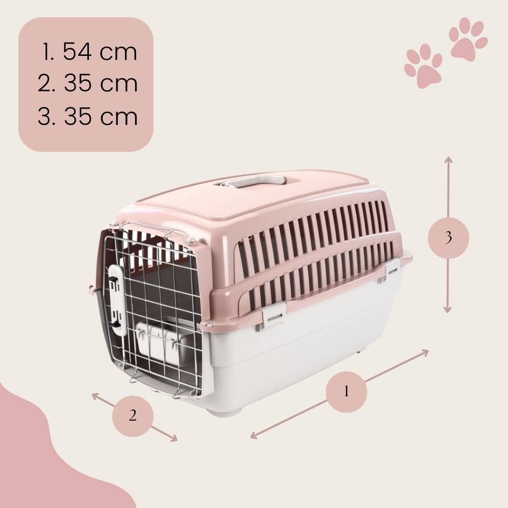 2x Transportbox IATA Flugbox Flugzeug Hundebox Hunde Transportbox Katze Groß für 2 Tiertransportbox Katzentransportbox Gr. M