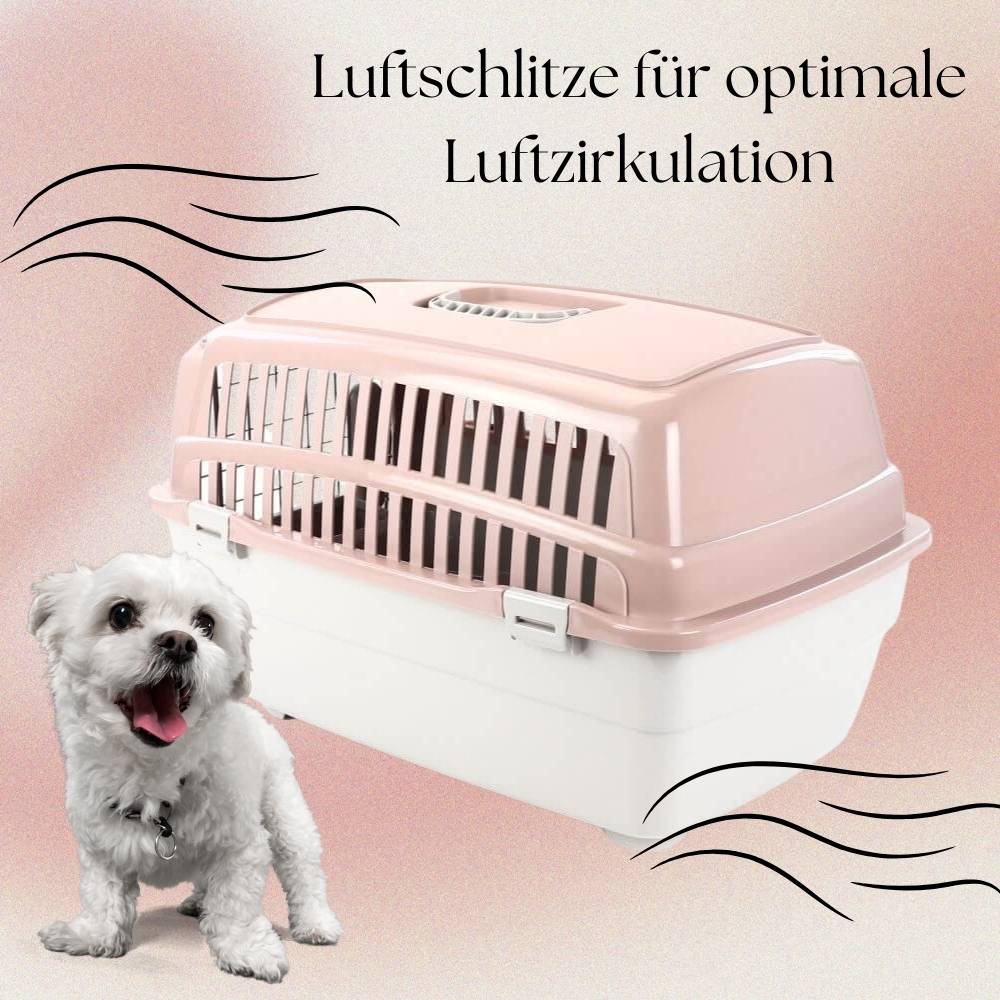 2x Transportbox IATA Flugbox Flugzeug Hundebox Hunde Transportbox Katze Groß für 2 Tiertransportbox Katzentransportbox Gr. M
