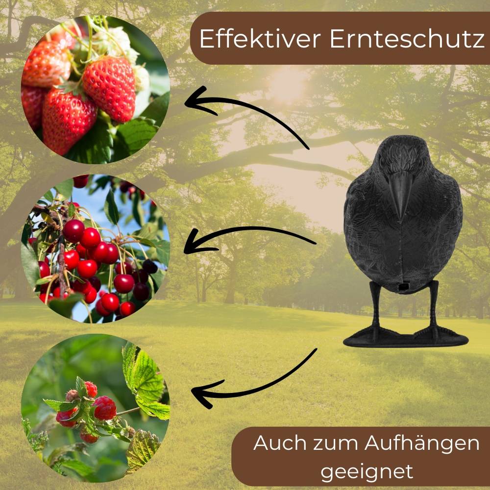 3x Taubenabwehr Vogelabwehr Krähe Raben Attrappe Taubenschreck Vogelschreck Vogelabwehr Vogelscheuche Tauben vertreiben Set