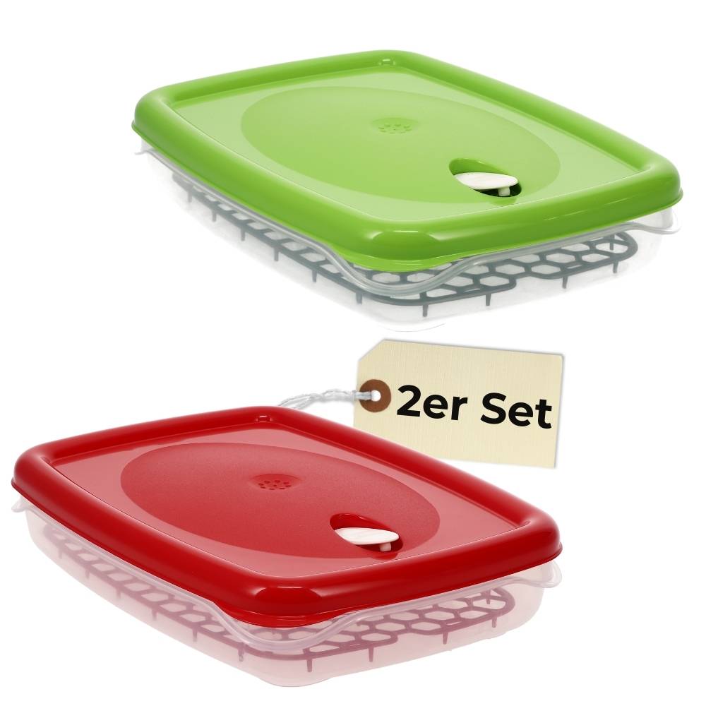 2x Frischhaltedosen mit Deckel Abtropfgitter Küche Dampfventil Aufbewahrungsdosen Kunststoff Vorratsdosen Luftdicht Gefrierdosen 2,5 L