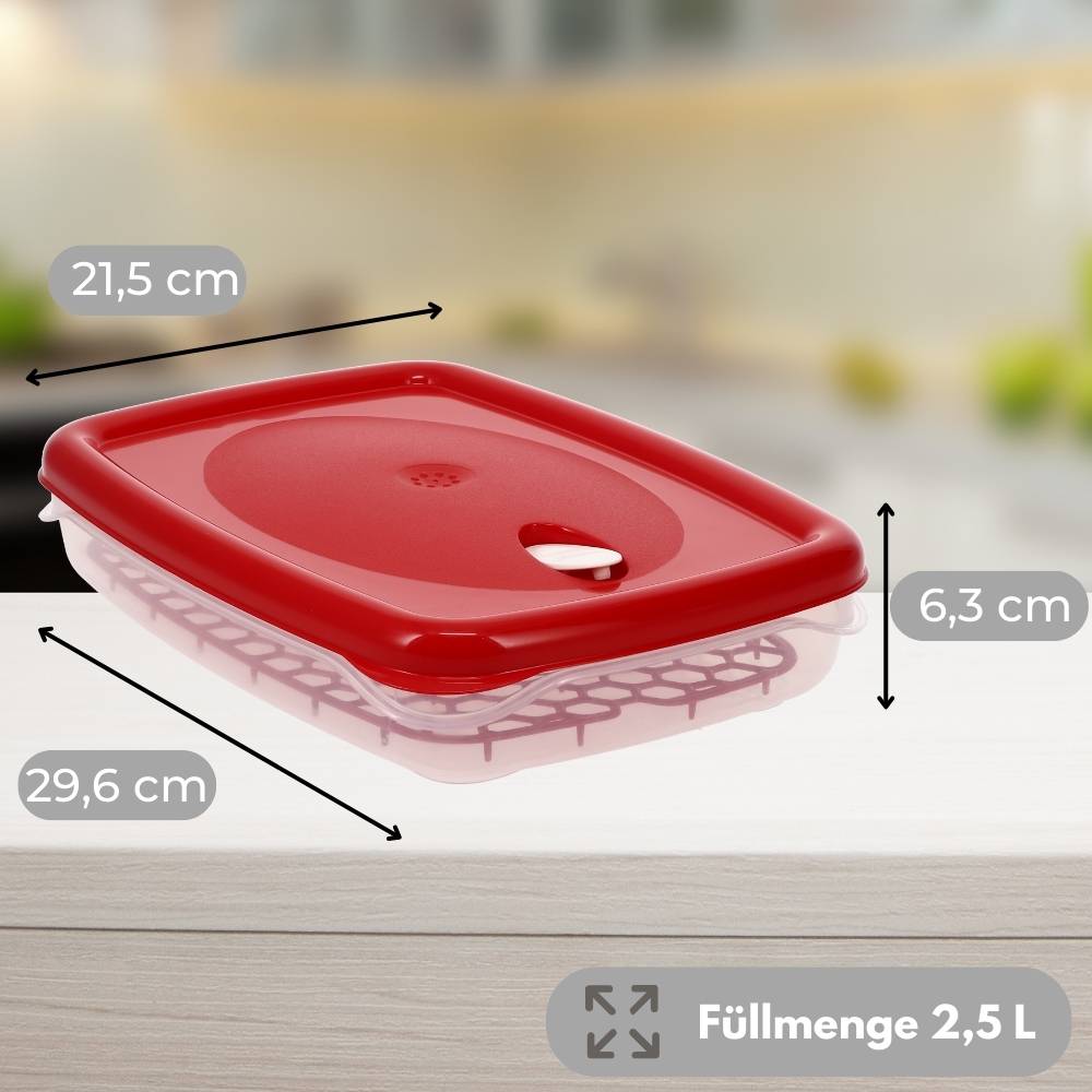 2x Frischhaltedosen mit Deckel Abtropfgitter Küche Dampfventil Aufbewahrungsdosen Kunststoff Vorratsdosen Luftdicht Gefrierdosen 2,5 L