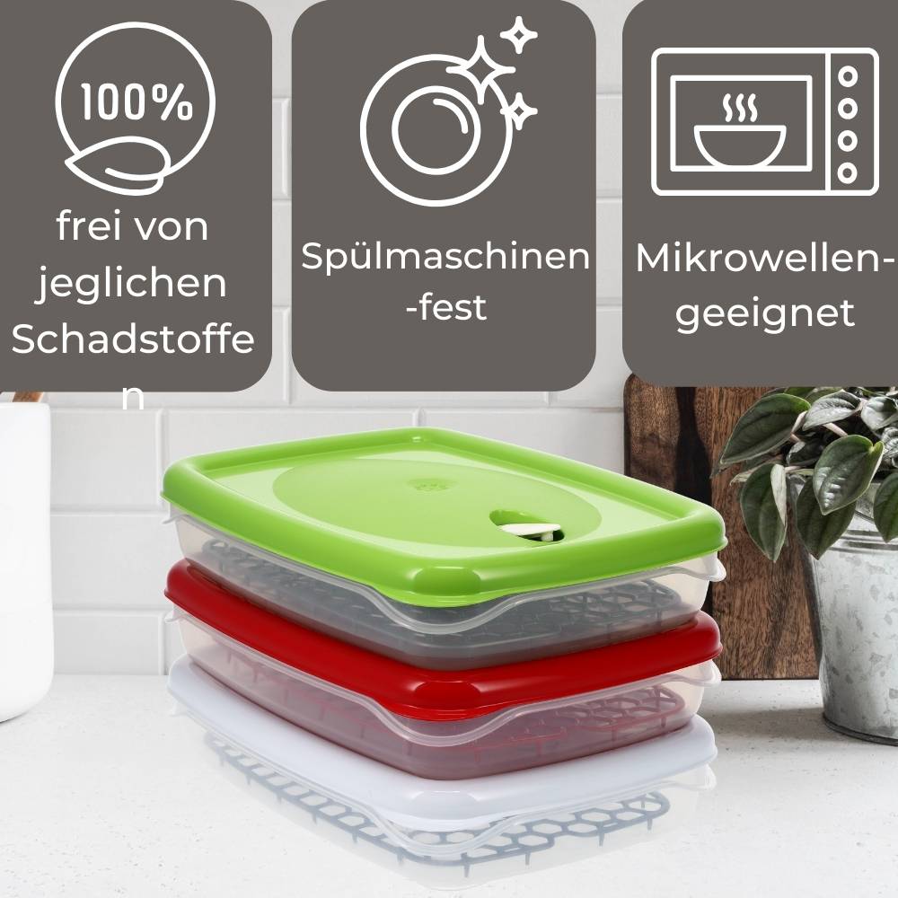 2x Frischhaltedosen mit Deckel Abtropfgitter Küche Dampfventil Aufbewahrungsdosen Kunststoff Vorratsdosen Luftdicht Gefrierdosen 2,5 L