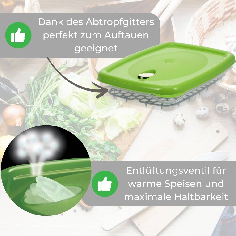 2x Frischhaltedosen mit Deckel Abtropfgitter Küche Dampfventil Aufbewahrungsdosen Kunststoff Vorratsdosen Luftdicht Gefrierdosen 2,5 L