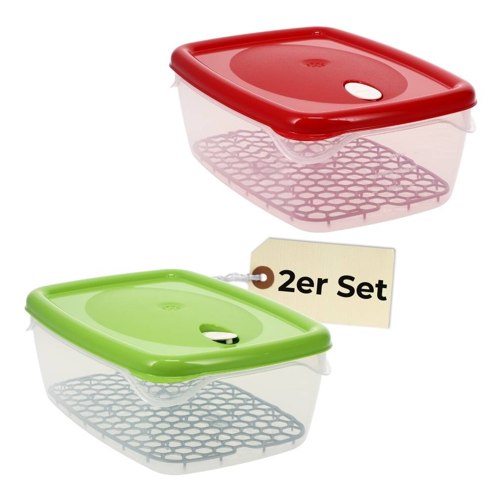 2x Frischhaltedosen mit Deckel Abtropfgitter Küche Dampfventil Aufbewahrungsdosen Kunststoff Vorratsdosen Luftdicht Gefrierdosen 5 L