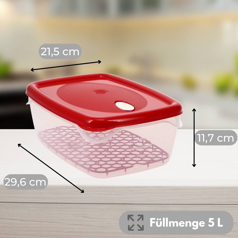 2x Frischhaltedosen mit Deckel Abtropfgitter Küche Dampfventil Aufbewahrungsdosen Kunststoff Vorratsdosen Luftdicht Gefrierdosen 5 L