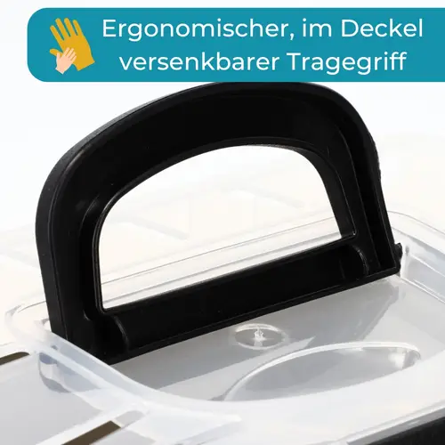 2x Transportbox Kleintier Meerschweinchen Hamster Vogel Mäuse Nagetier Tiertransportbox Trage Box Reisebox Kleintiertransportbox Transportkiste 2x Transportbox Kleintier Meerschweinchen Hamster Vogel Mäuse Nagetier Tiertransportbox Trage Box Reisebox Kleintiertransportbox Transportkiste