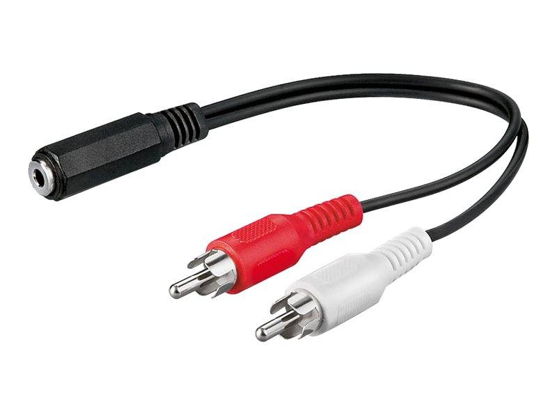 WENTRONIC - goobay AVK 179-0020 - Audio-Adapter - RCA x 2 männlich zu mini-phone stereo 3.5 mm weiblich