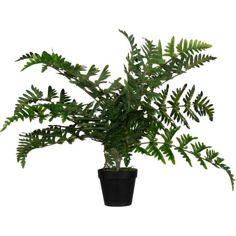 PAPERFLOW Kunstpflanze "Farn", Höhe: 550 mm