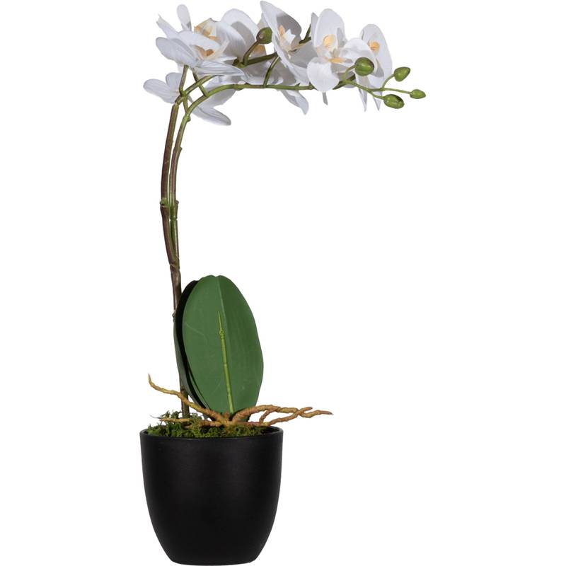 PAPERFLOW Kunstpflanze "Orchidee", weiß, Höhe: 400 mm