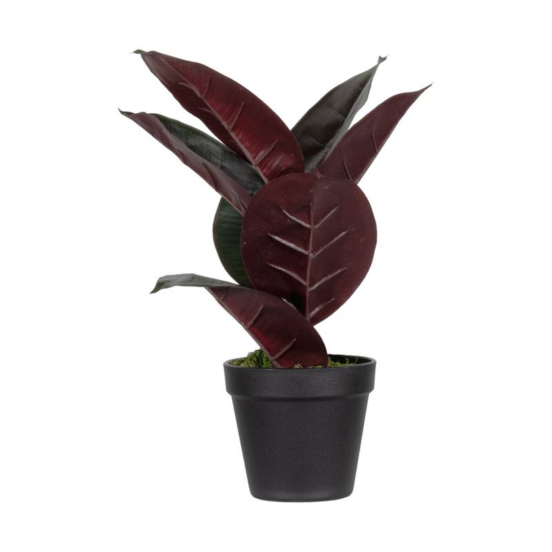 PAPERFLOW Kunstpflanze "Gummibaum", Höhe: 360 mm