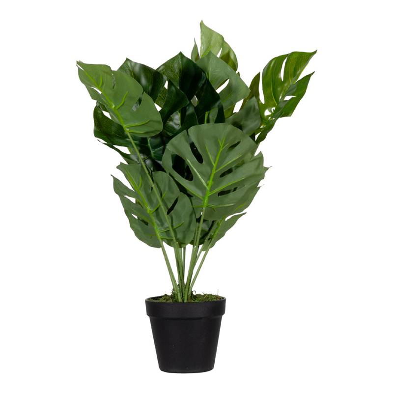 PAPERFLOW Kunstpflanze "Monstera", Höhe: 450 mm