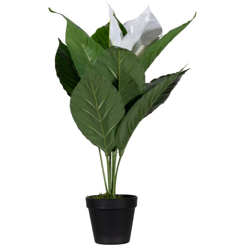 PAPERFLOW Kunstpflanze "Einblatt", Höhe: 550 mm