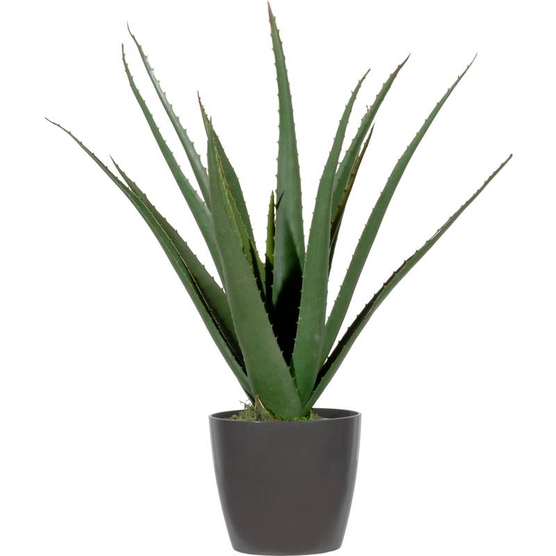 PAPERFLOW Kunstpflanze "Aloe Vera", Höhe: 450 mm